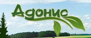 Адонис